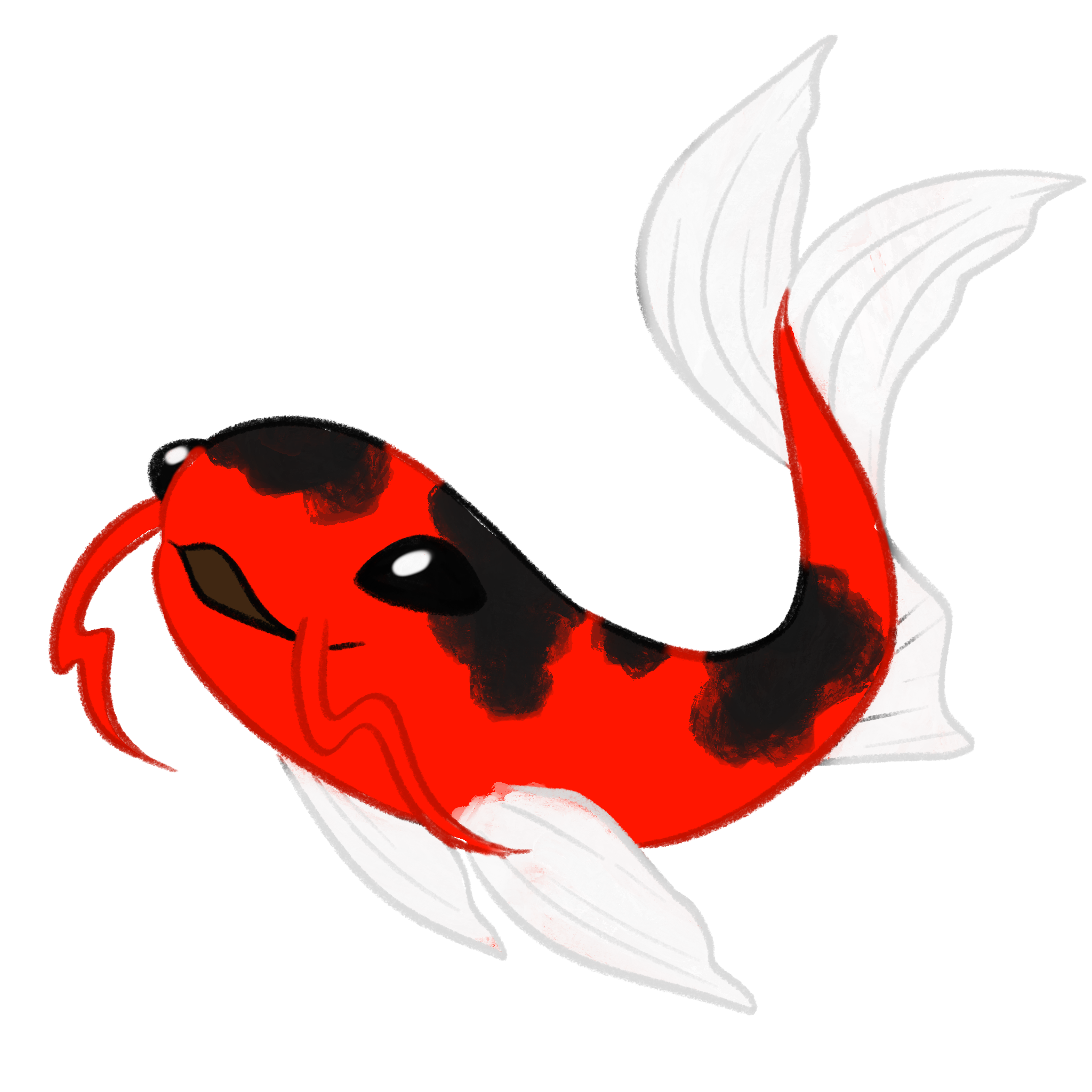Aka Bekko koi