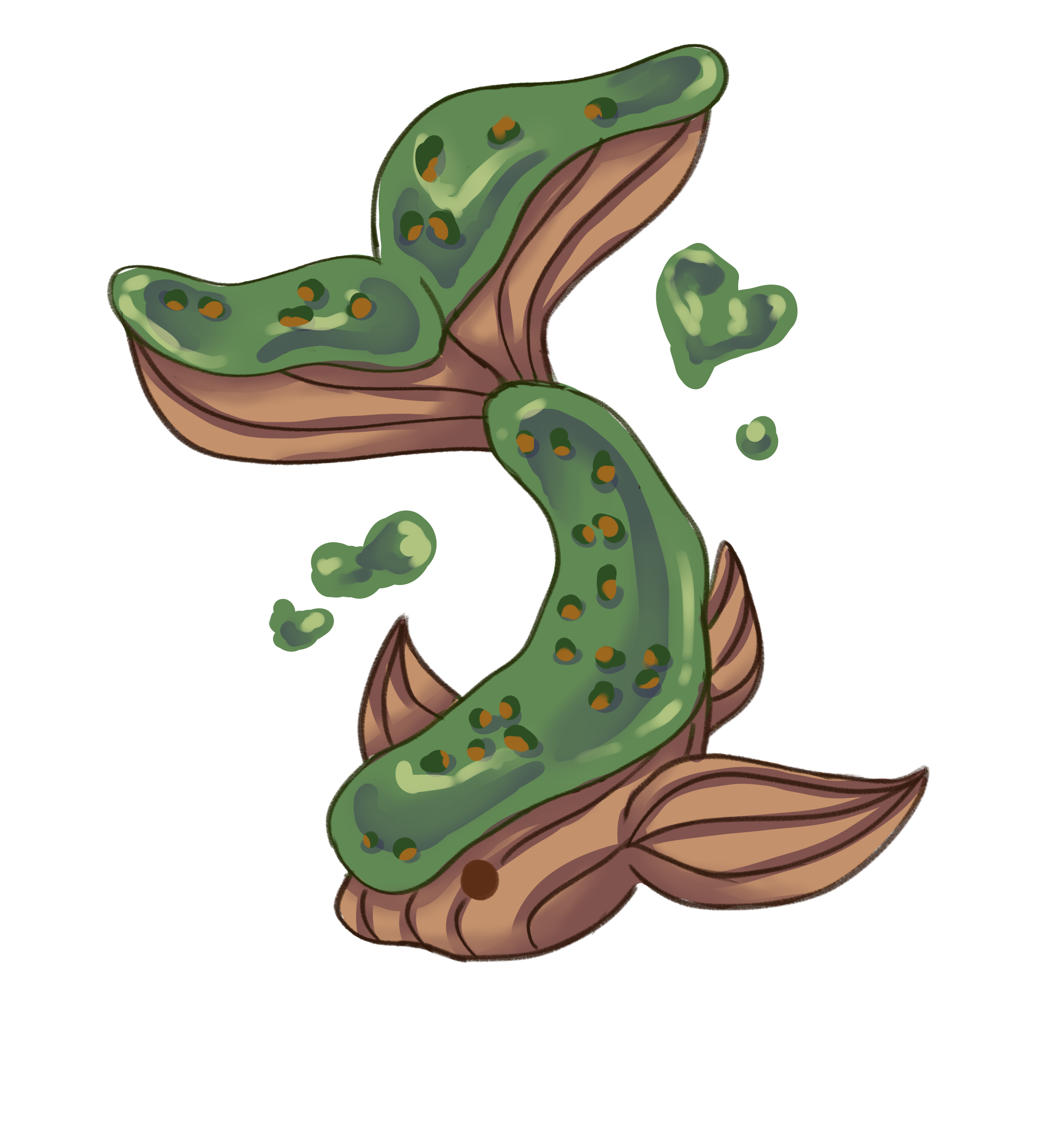 Eclair koi