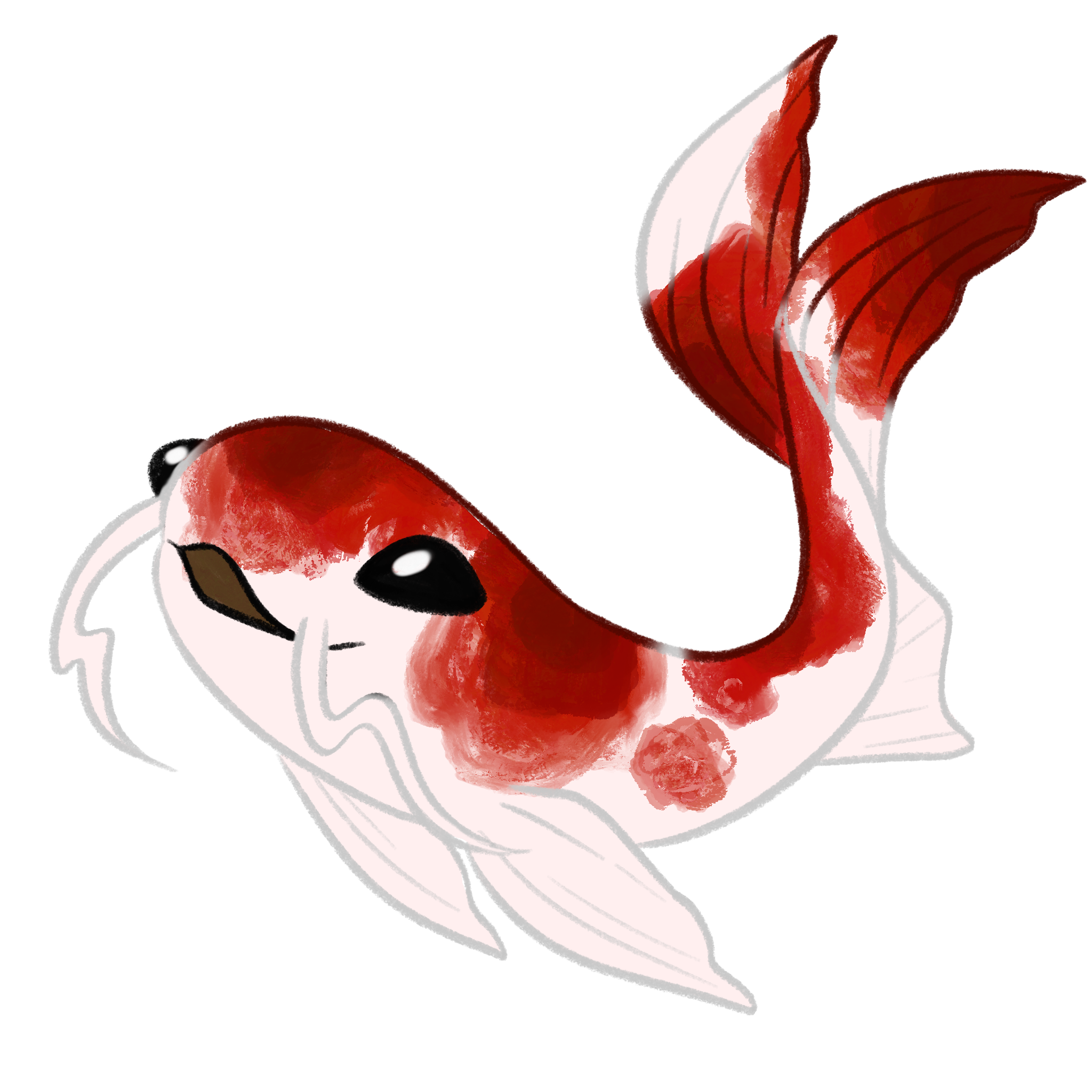 Kikokuryu koi