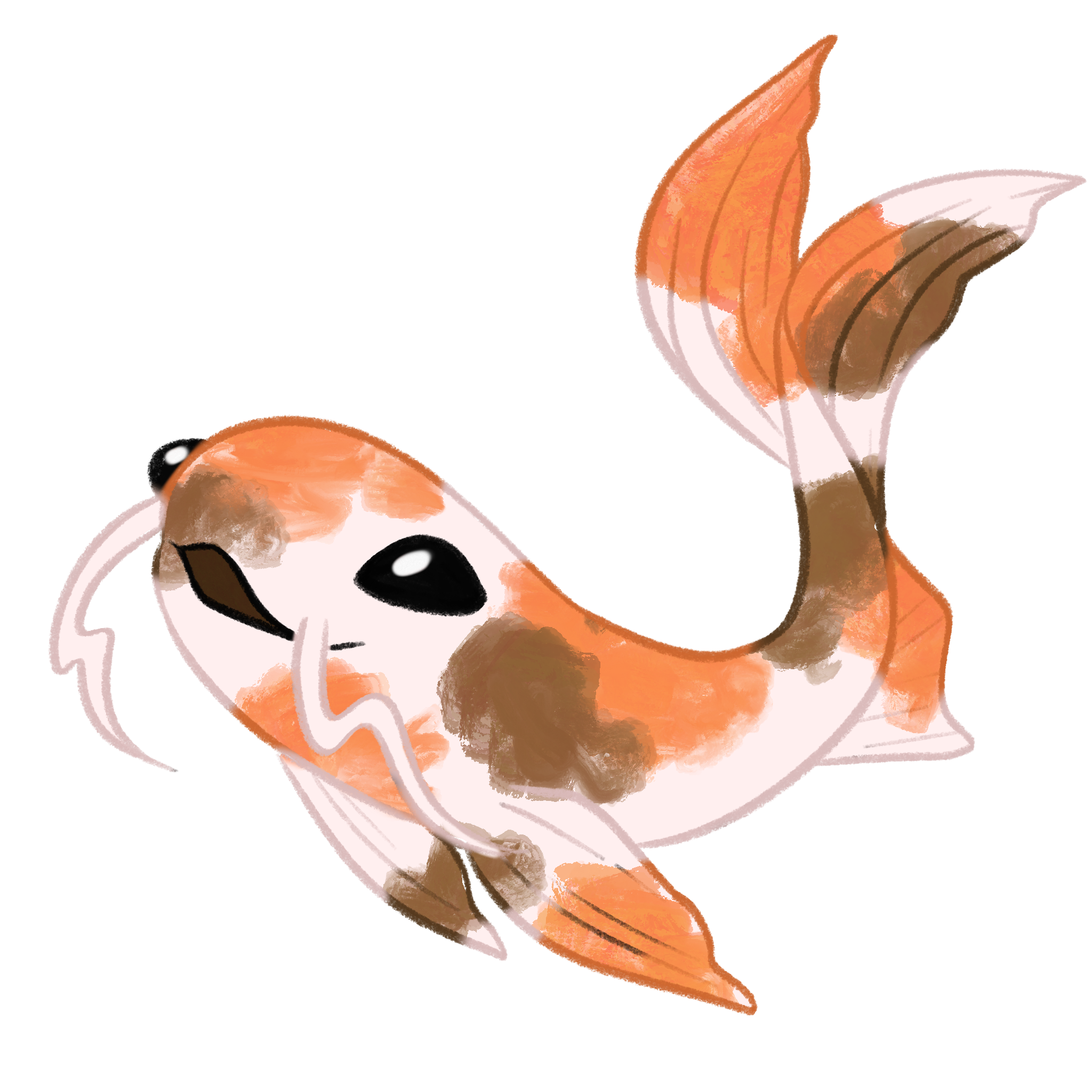 Sanke koi