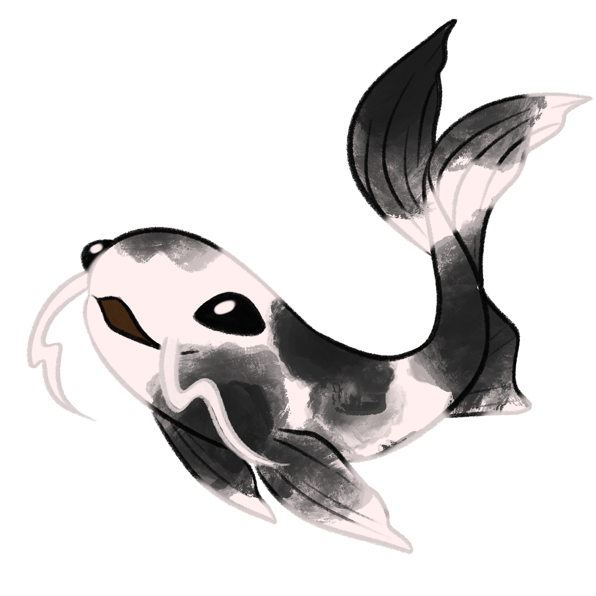 Sumi koi