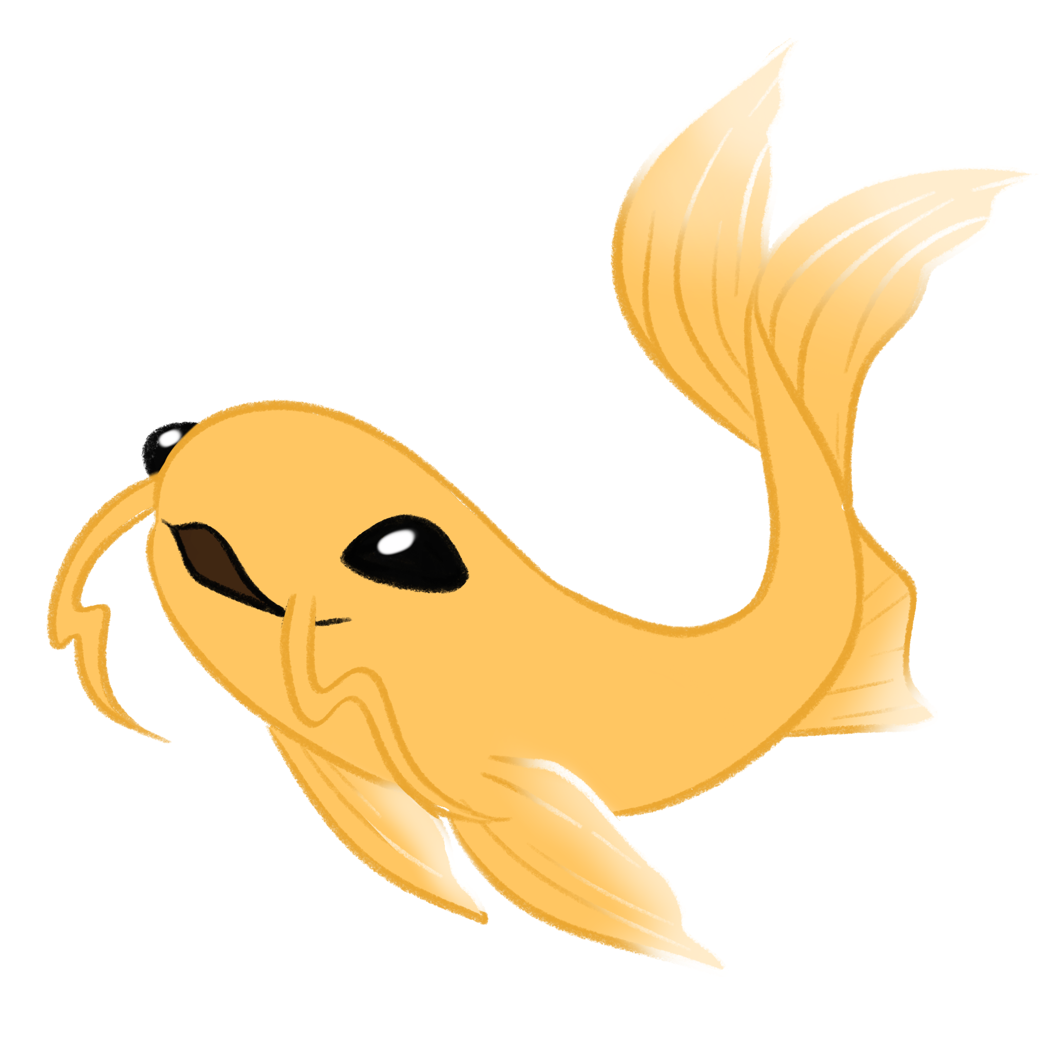 Yamabuki koi