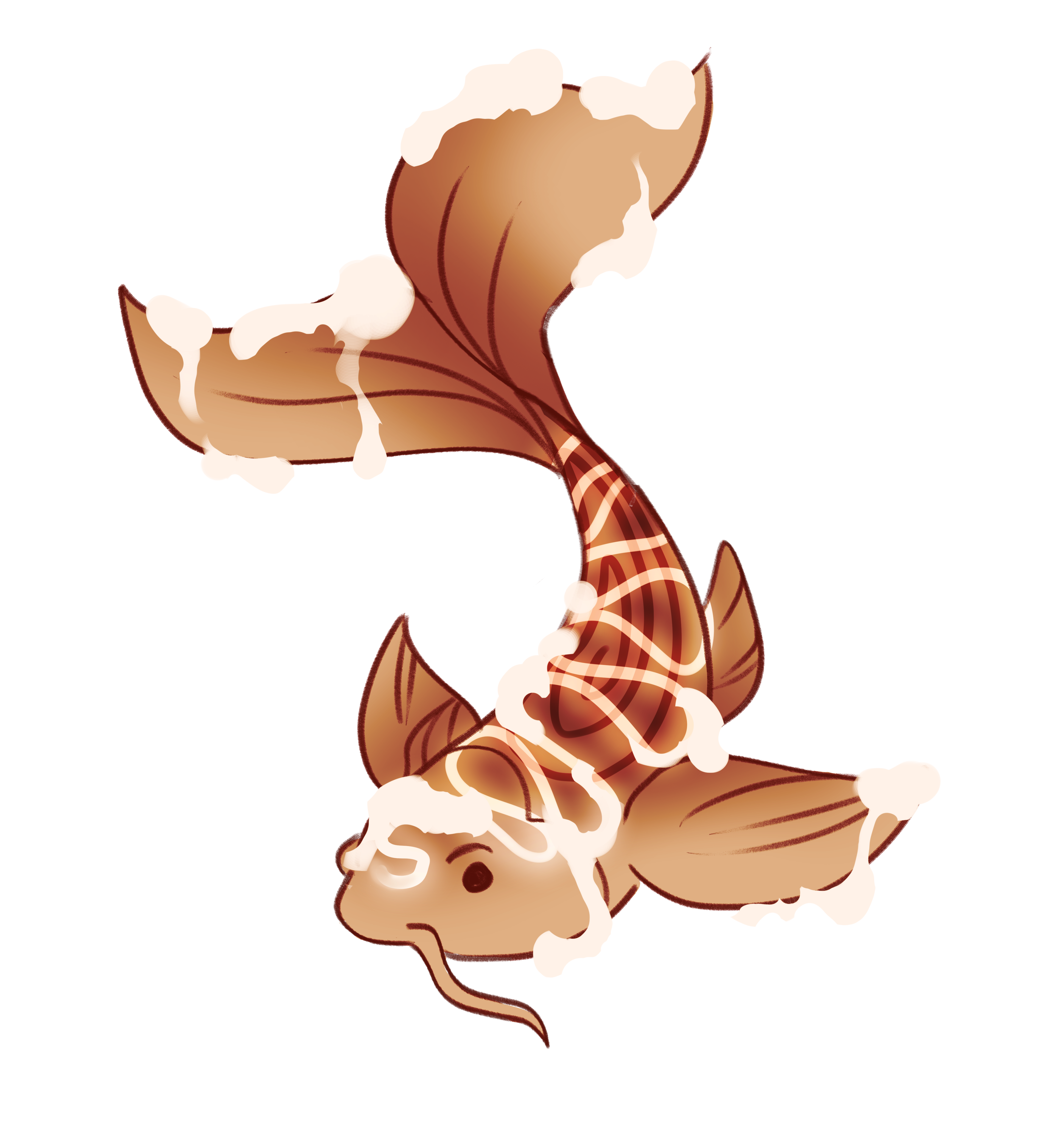 Cinnabun koi