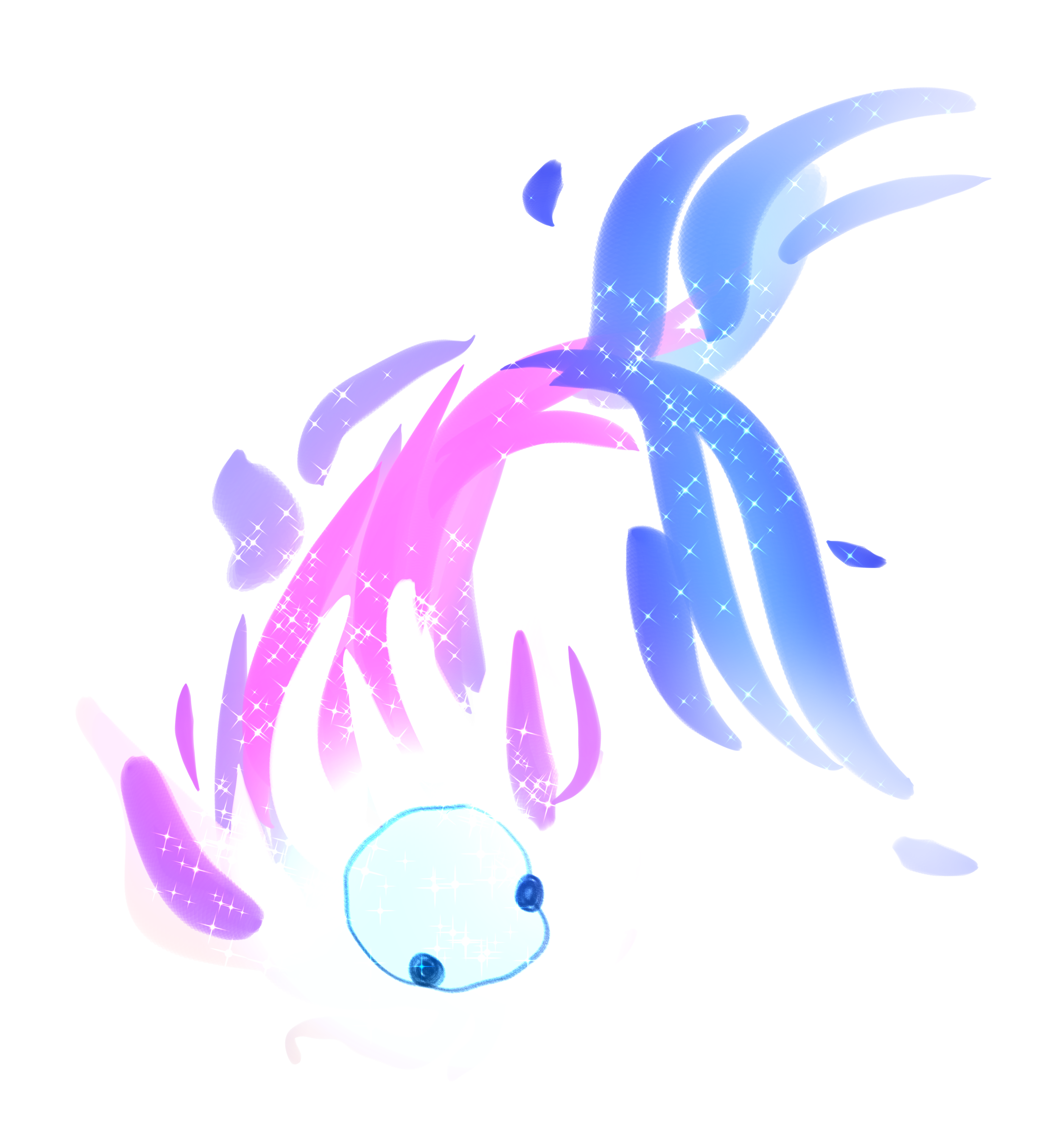 Comet koi